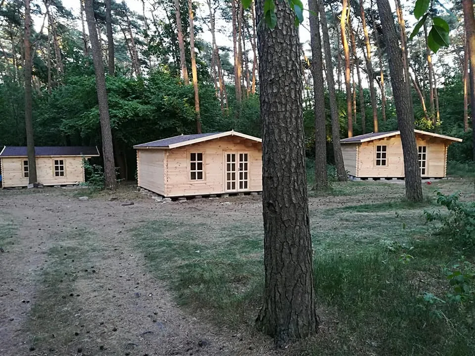Nowe drewniane domki letniskowe ośrodka Łodzianka w sosnowym lesie