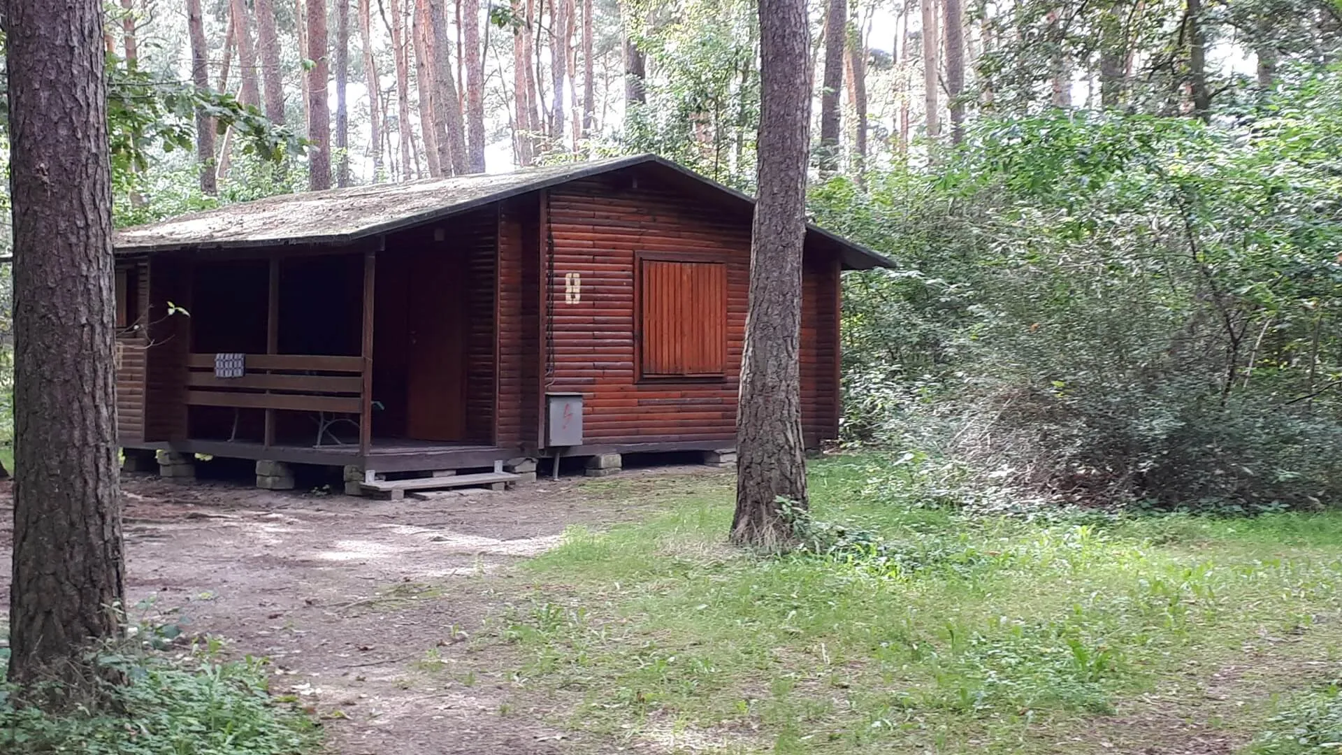 Domek letniskowy z tarasem i ławką pod sosnami